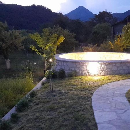 Pensjonat Aleksa Cetynia Zewnętrze zdjęcie