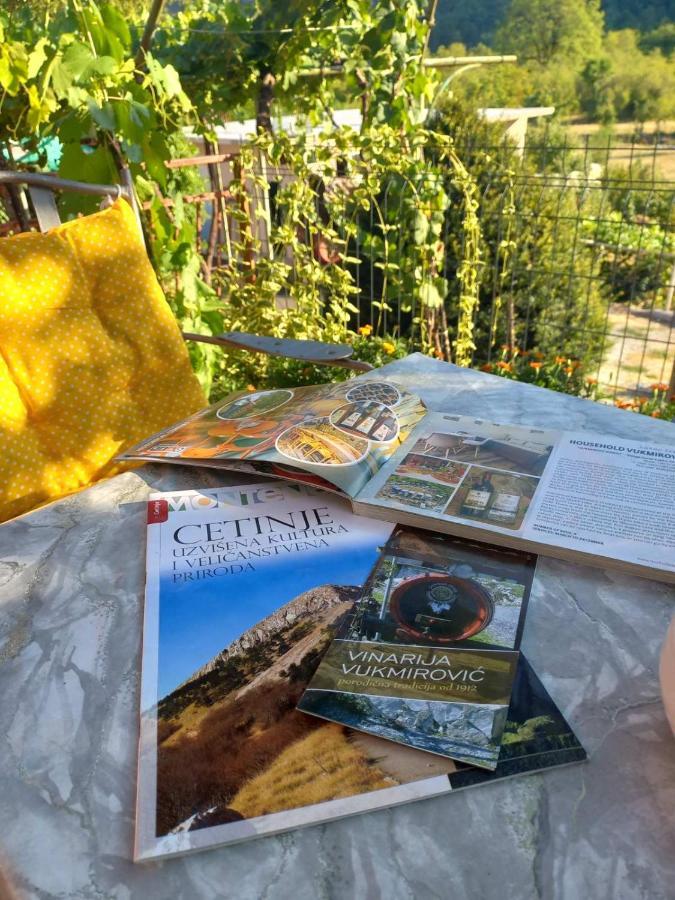 Pensjonat Aleksa Cetynia Zewnętrze zdjęcie